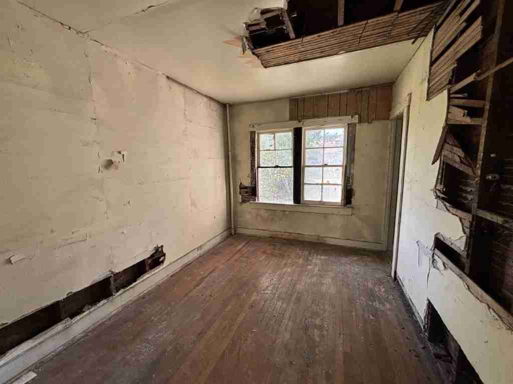 20241017_162658645_iOS (2).jpg